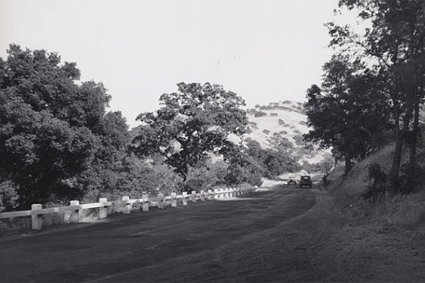 Black and white photo of car driving on hillside section of Pacheco Pass Highway with trees on the side of the road 