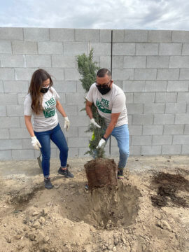 man and woman planting tree in dirt in front of a wall